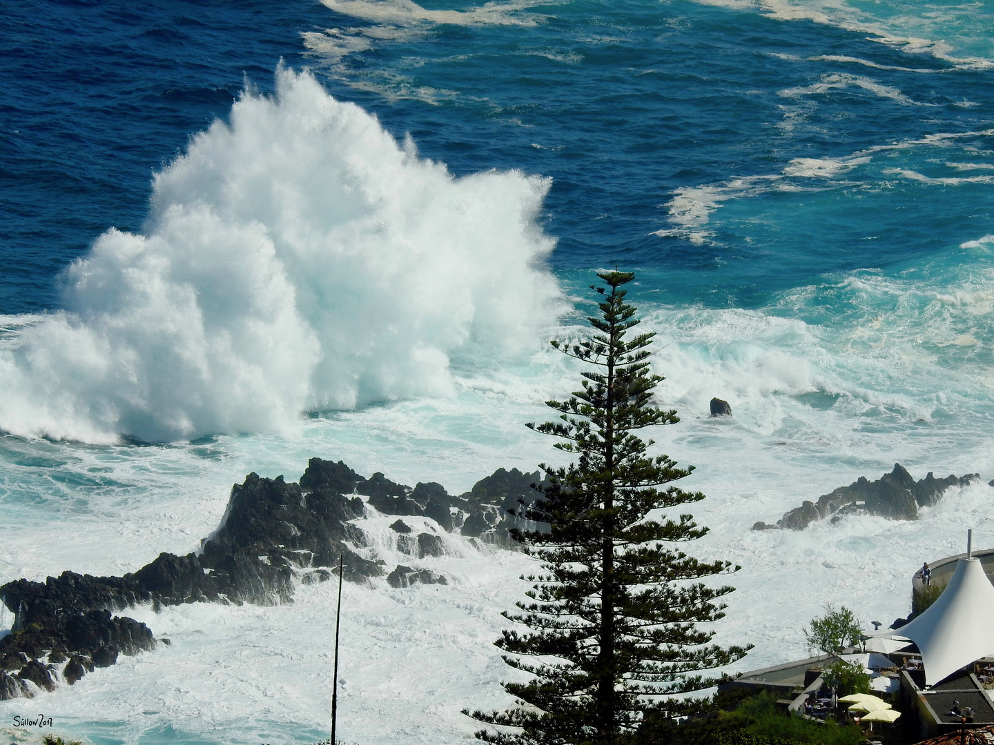 Madeira März 2017_003