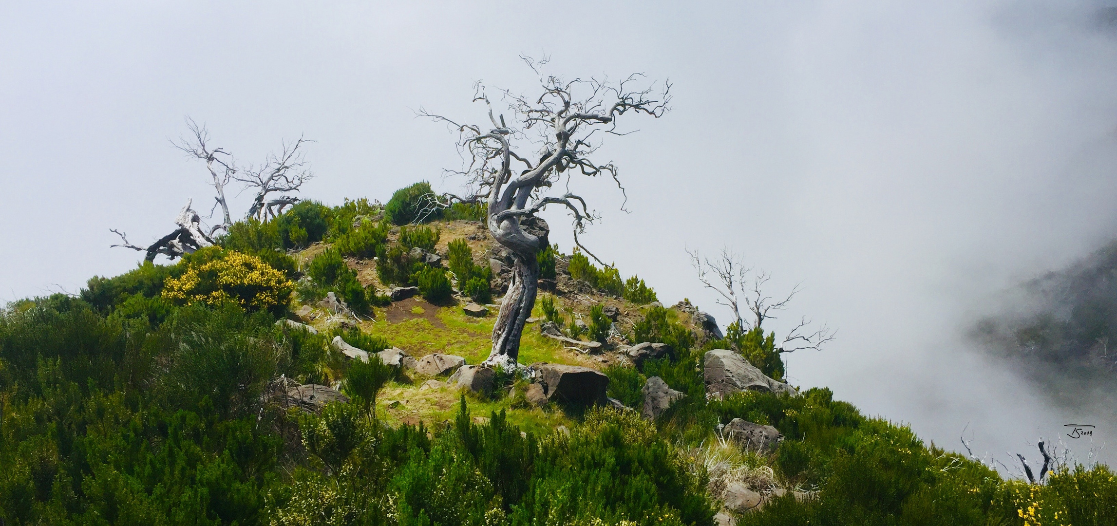 Madeira Mai 2019_02