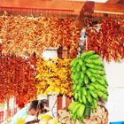 Madeira Markt