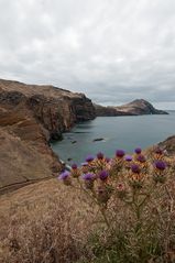 Madeira Ostkap