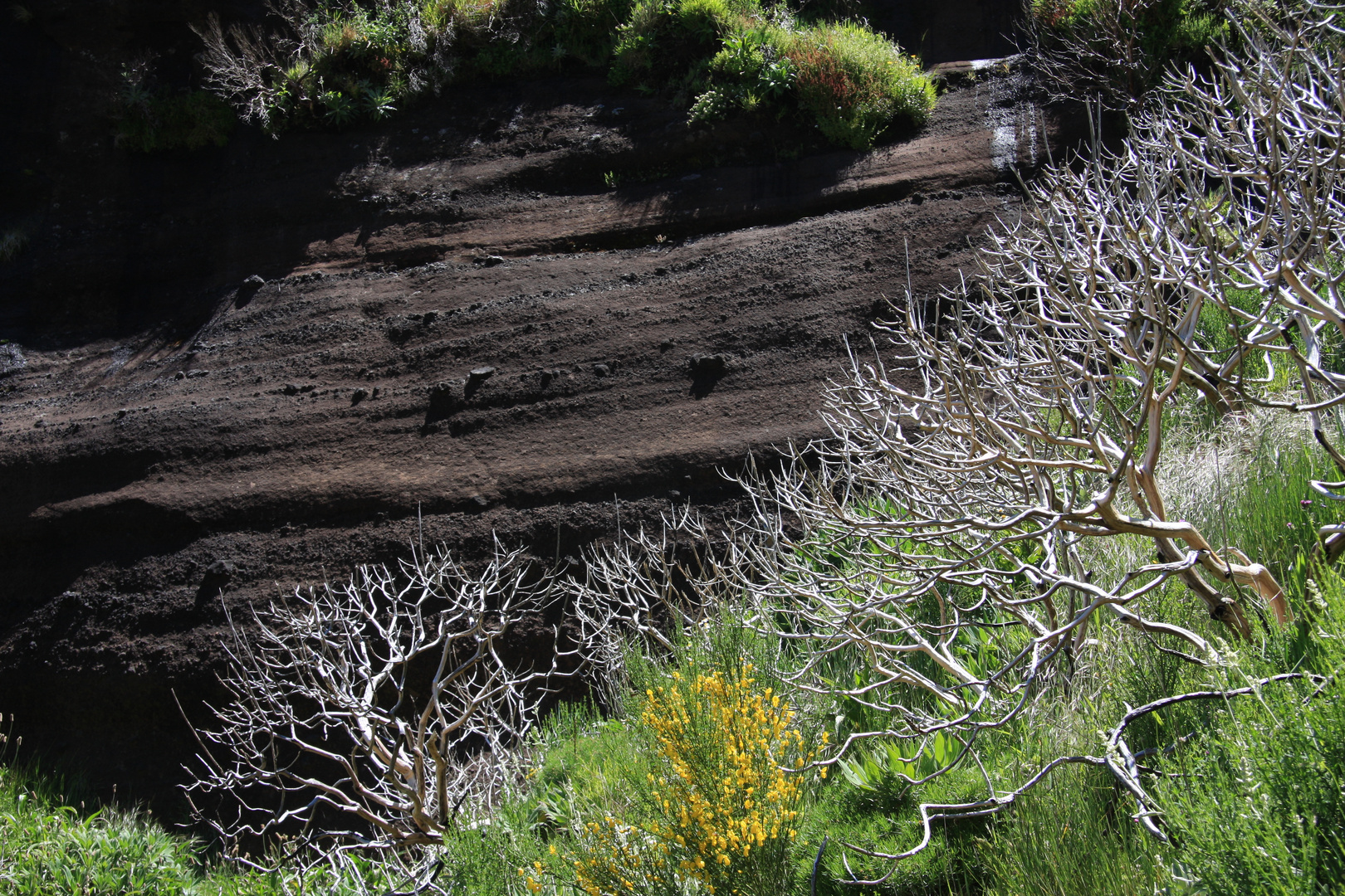 Madeira - Pico Ruivo (4)