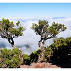 Madeira Pico Ruivo