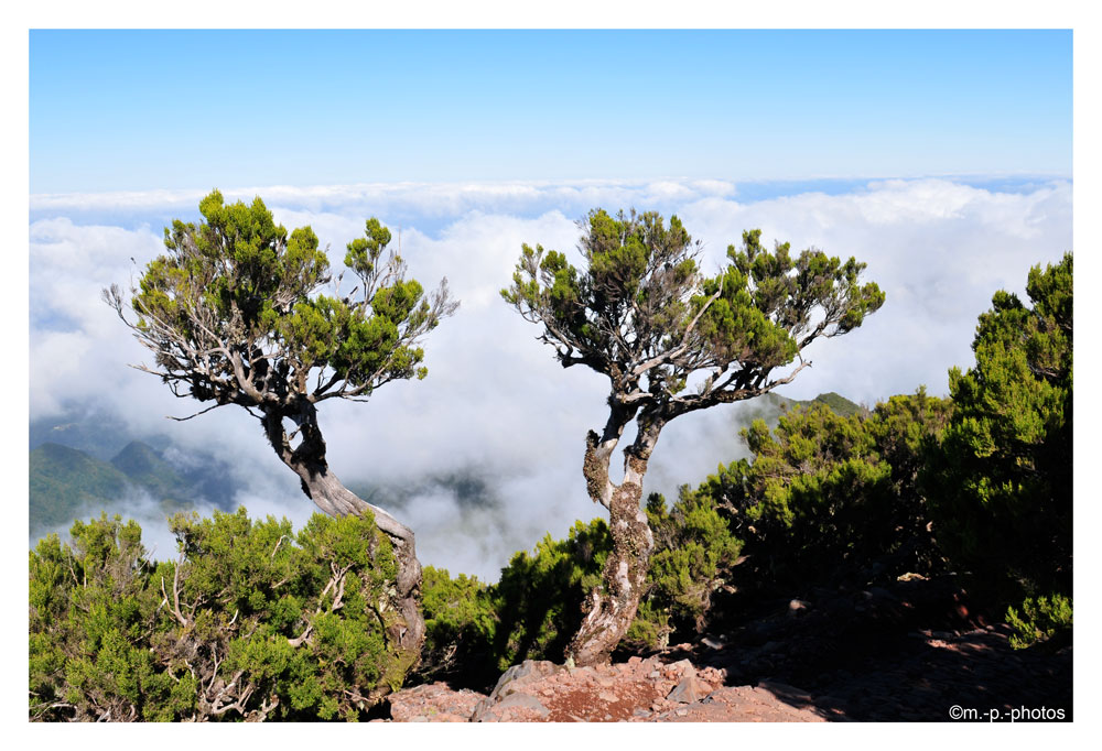 Madeira Pico Ruivo