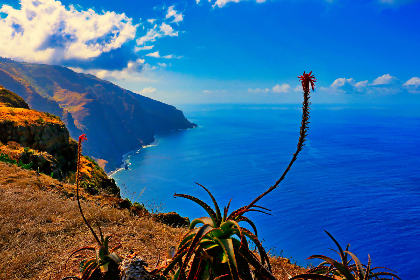 Madeira / Ponta do Pargo