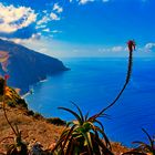 Madeira / Ponta do Pargo