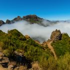 Madeira - Reisefieber