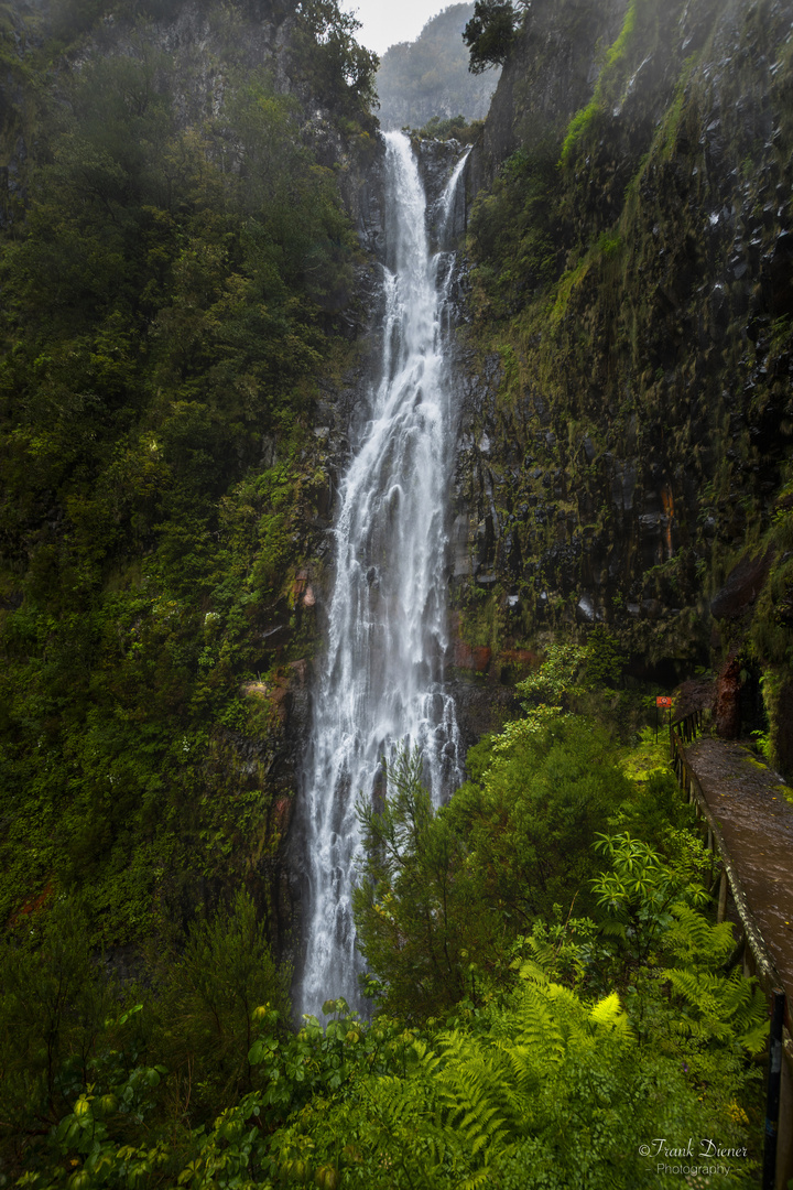 Madeira -  Risco Wasserfall