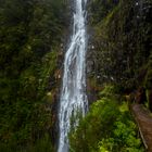 Madeira -  Risco Wasserfall
