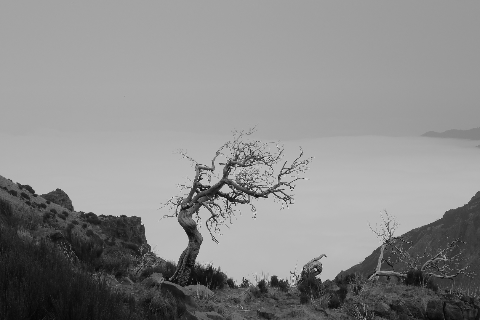 Madeira - Stillleben über den Wolken am Pico Ruivo