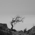 Madeira - Stillleben über den Wolken am Pico Ruivo