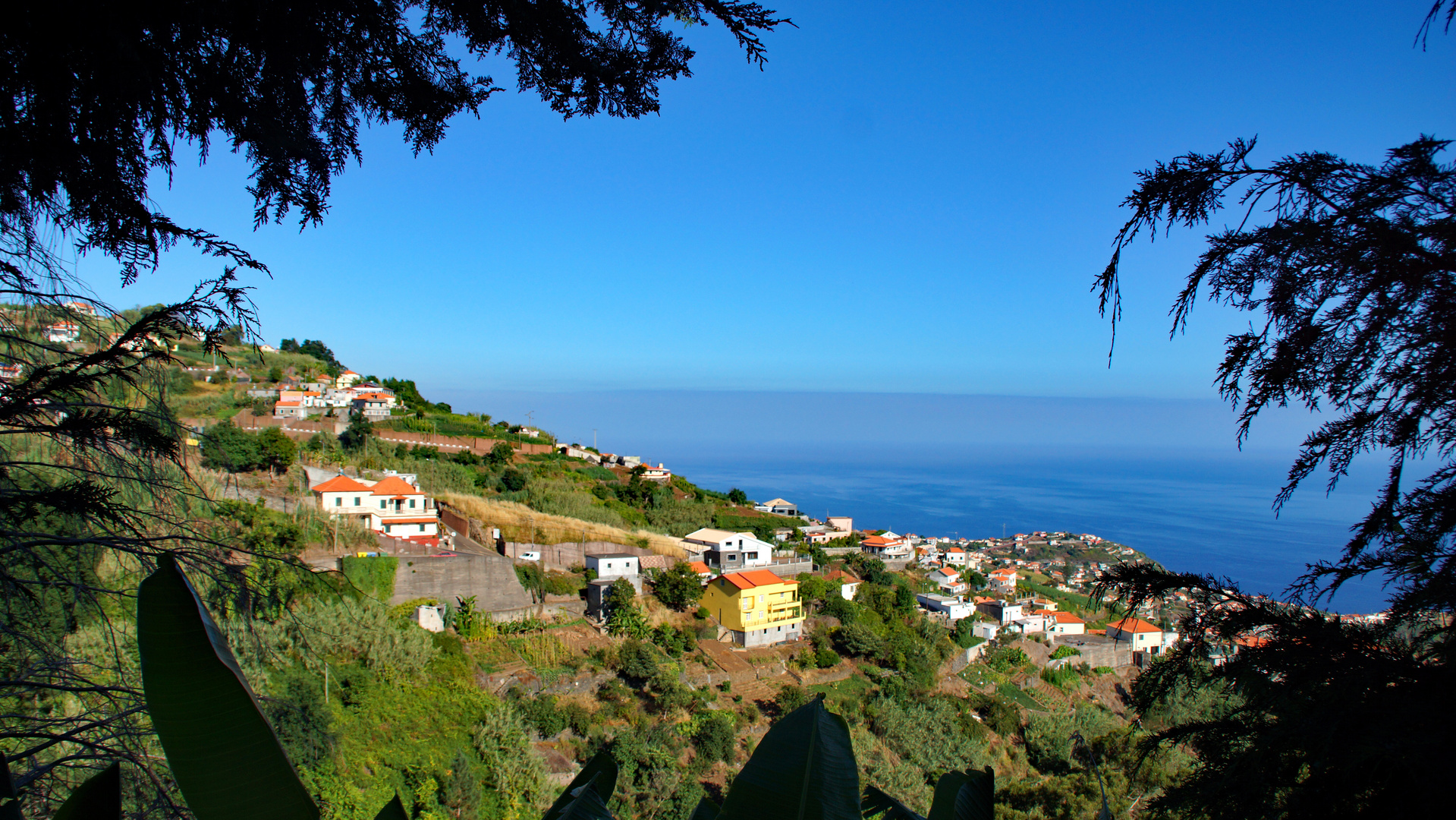 Madeira Stimmung1