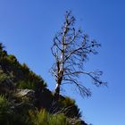 Madeira Stimmung18