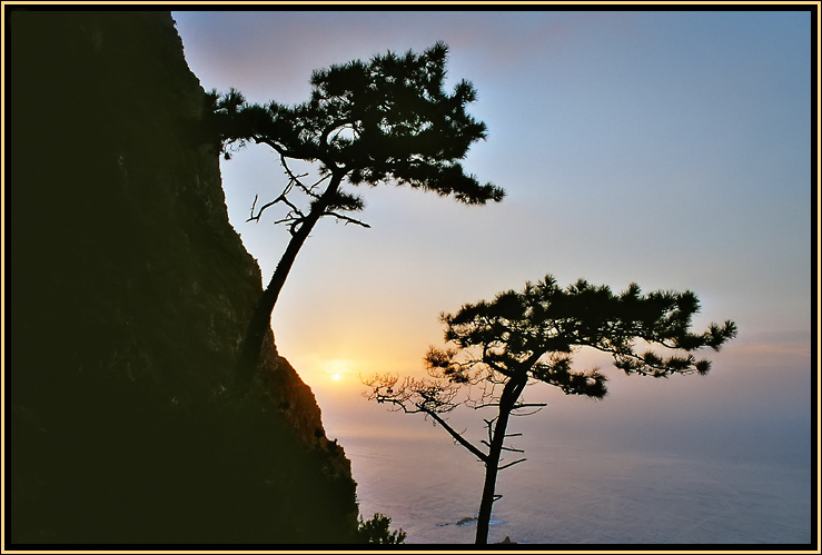 * Madeira Sunset *