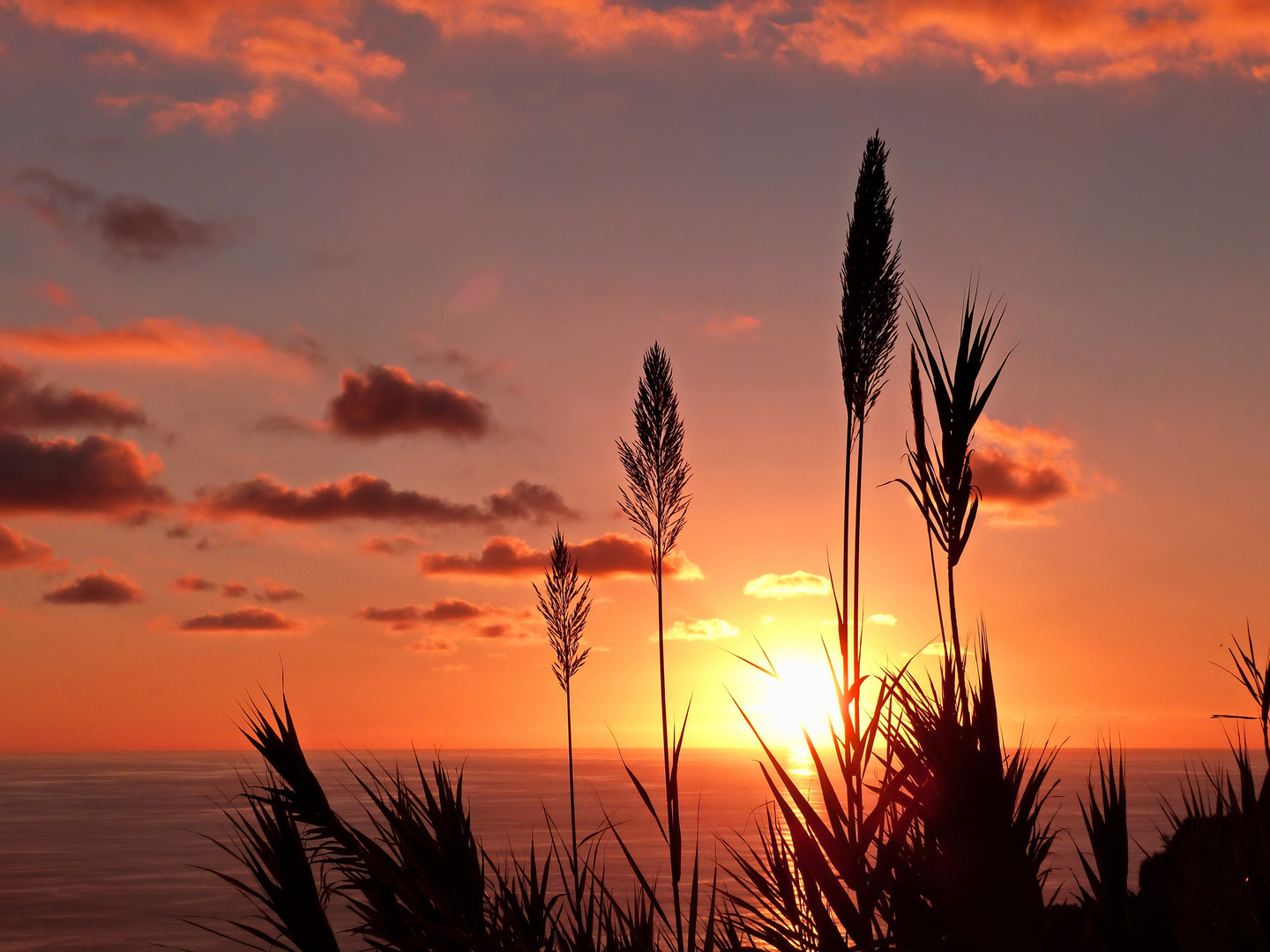 Madeira – Sunset