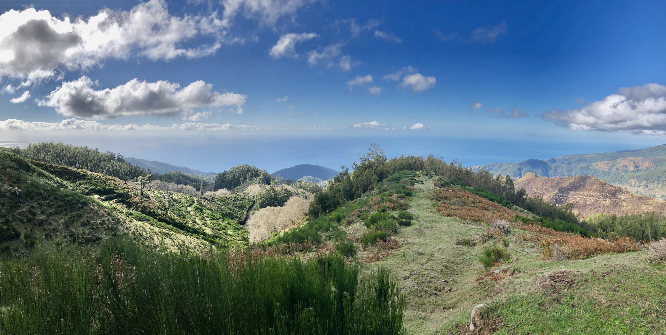 Madeira Trauminsel