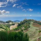 Madeira Trauminsel