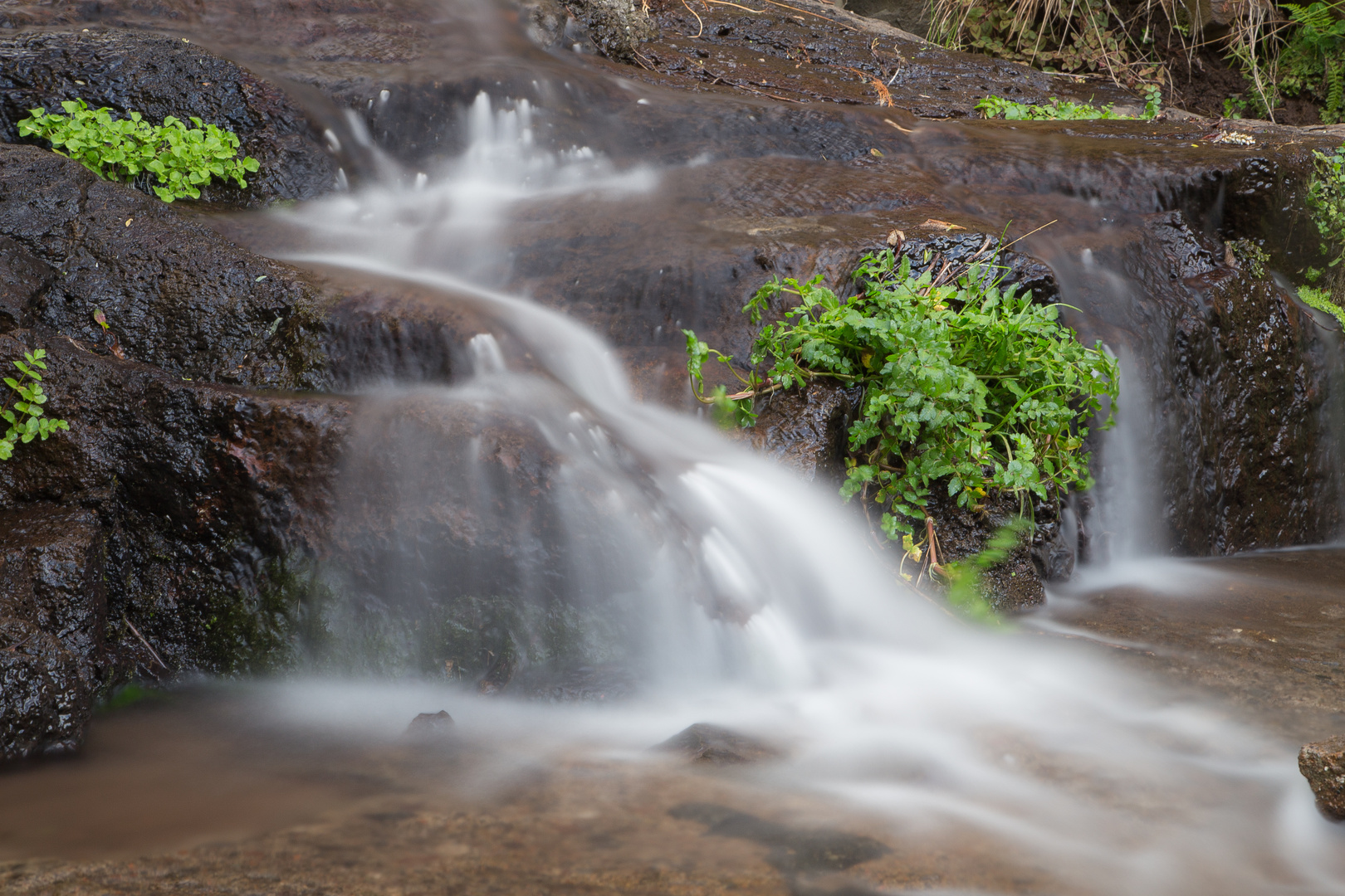 Madeira - unendlich viel Wasser