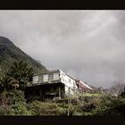 Madeira Visions_2