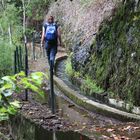 Madeira - Wanderung entlang der Levada am Ribeiro frio