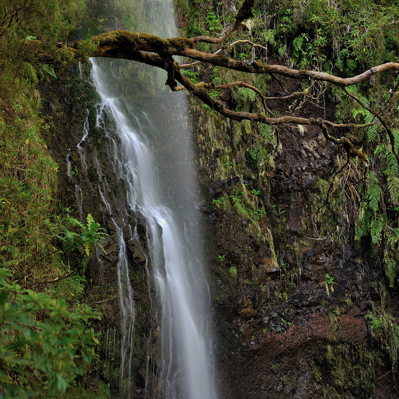 *Madeira - Wasser*