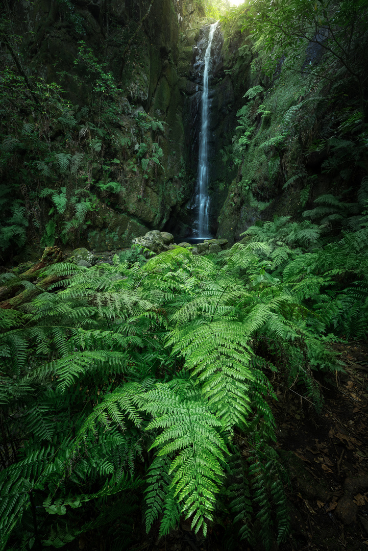 Madeira Wasserfall