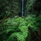 Madeira Wasserfall