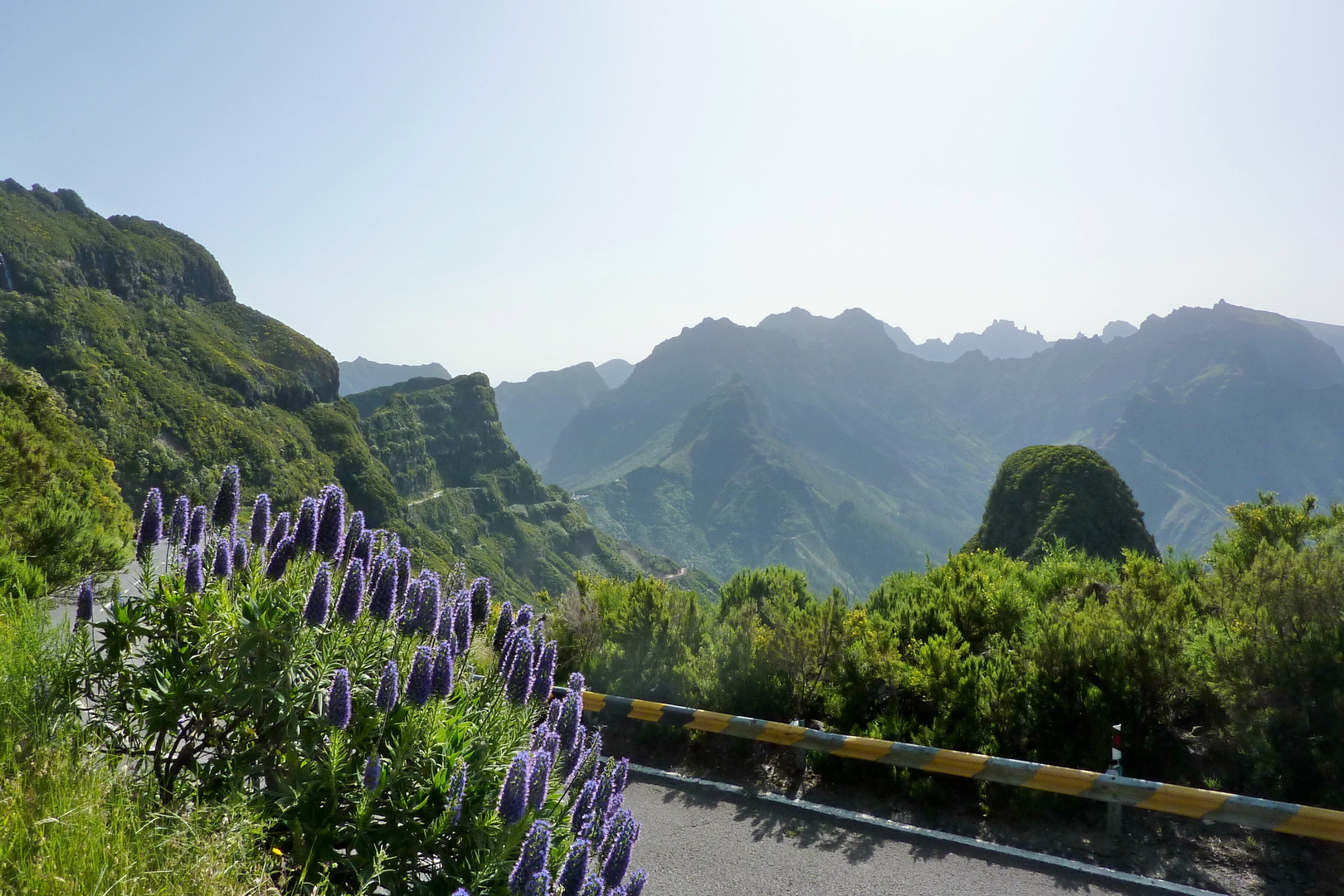 Madeira wie es gewachsen ist