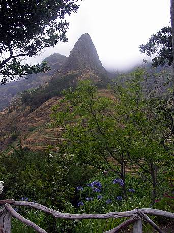 Madeira Zuckerhut