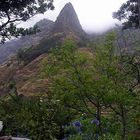 Madeira Zuckerhut