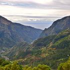 Madeira_12