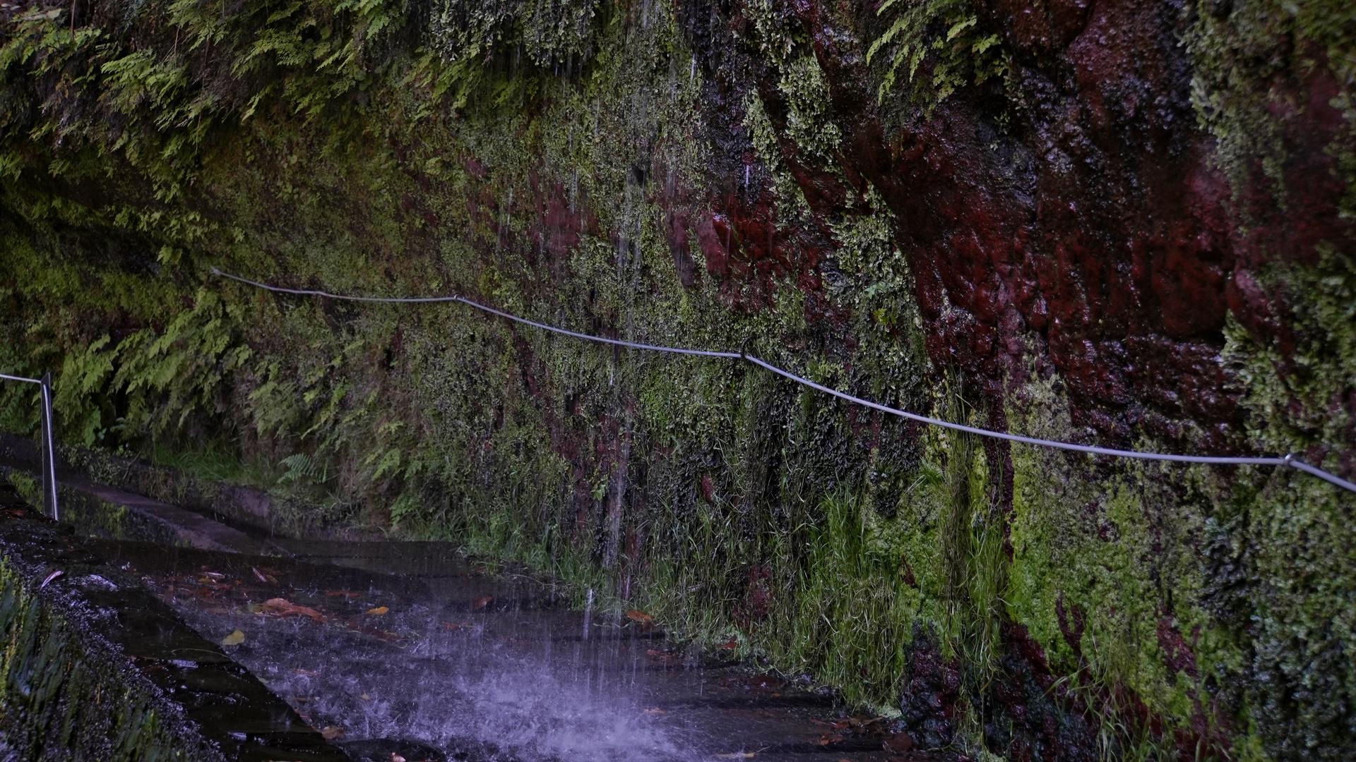 Madeira_2023_23_Madeira-PR18 Levada do Rei,Kl. Wasserfall