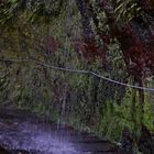 Madeira_2023_23_Madeira-PR18 Levada do Rei,Kl. Wasserfall