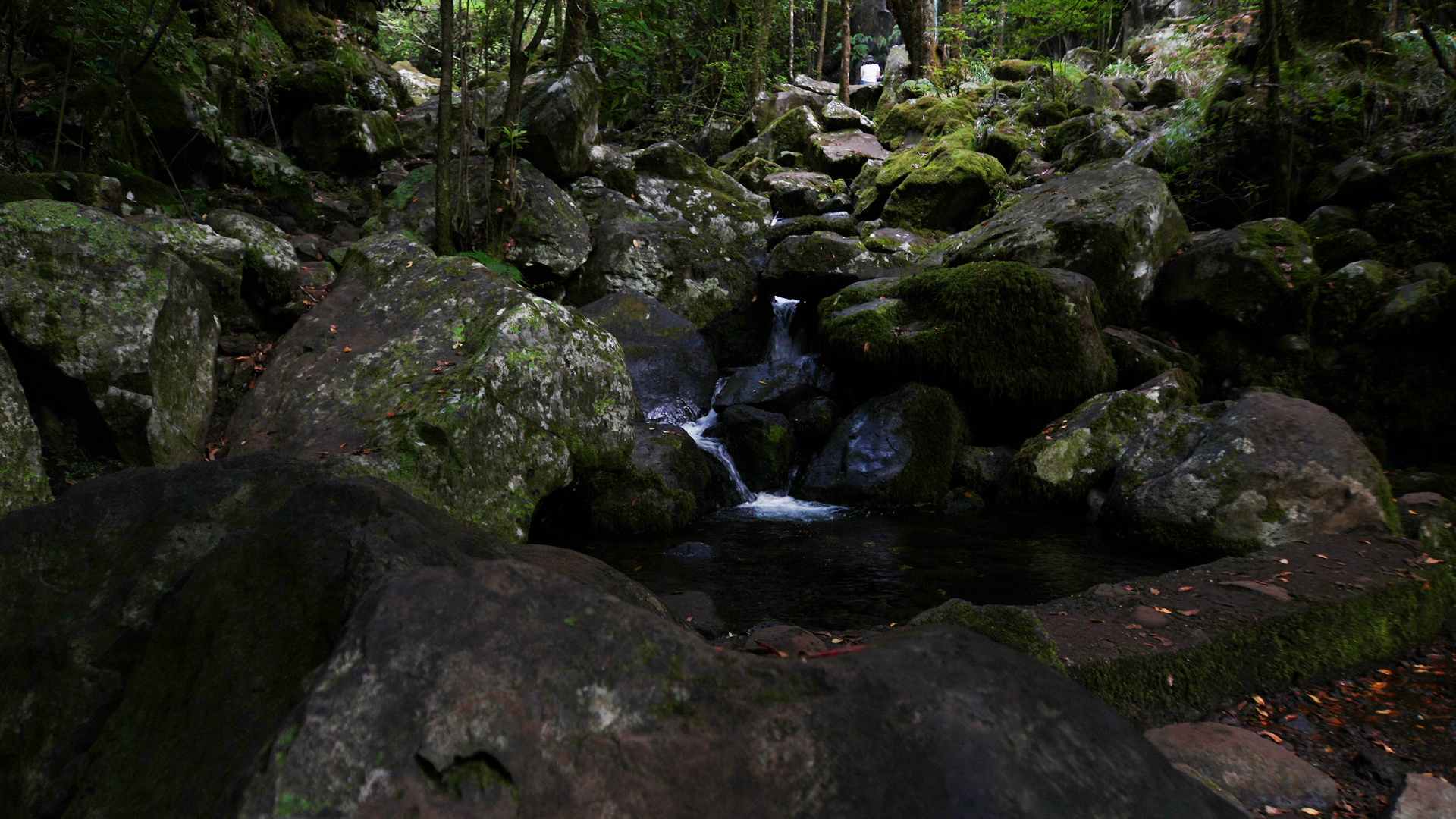 Madeira_2023_34_Madeira-PR14_ Levada Cedros, Ziel am späten Mittag erreicht,