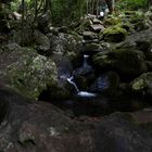 Madeira_2023_34_Madeira-PR14_ Levada Cedros, Ziel am späten Mittag erreicht,