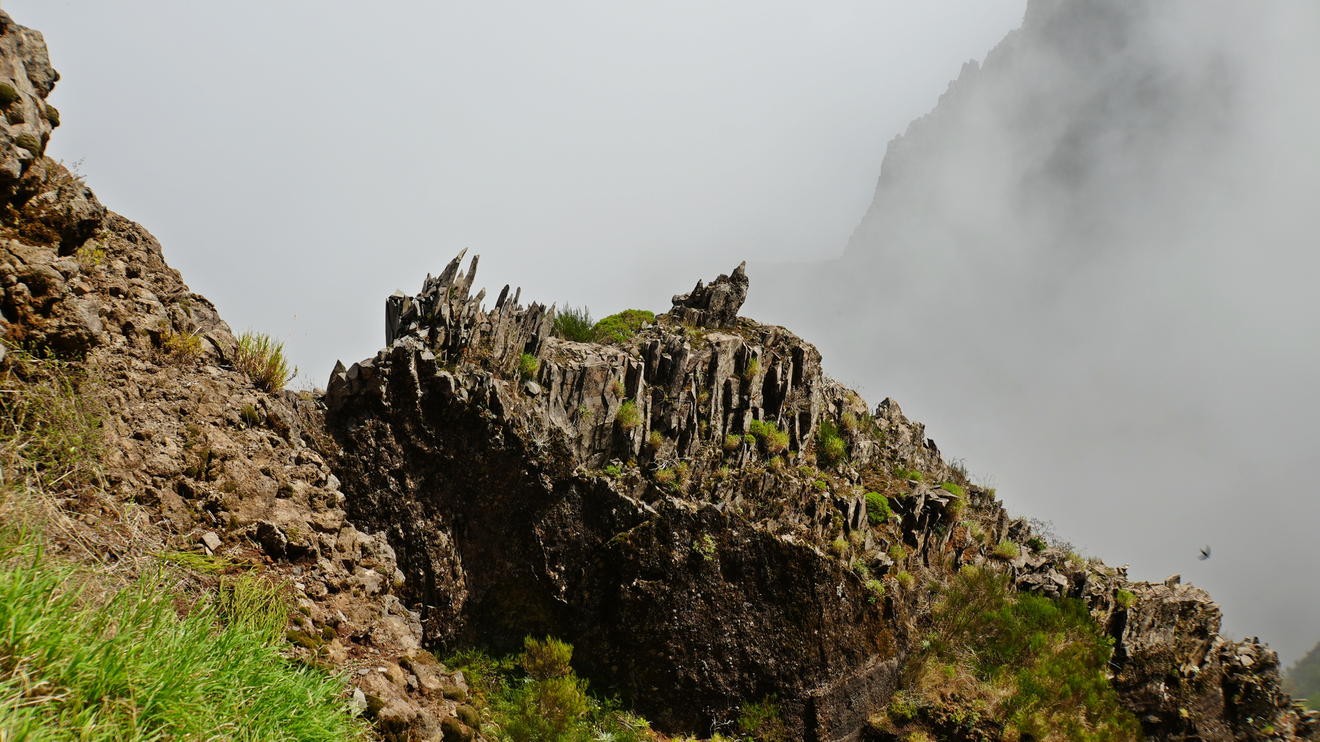 Madeira_2023_40_Madeira-PR1_Abstieg auf 1700m vom Arieiro in die Nebelhölle 