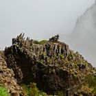 Madeira_2023_40_Madeira-PR1_Abstieg auf 1700m vom Arieiro in die Nebelhölle 