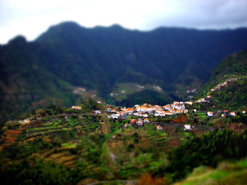 madeira3