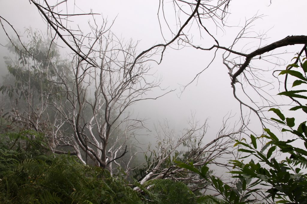 Madeira,Berge