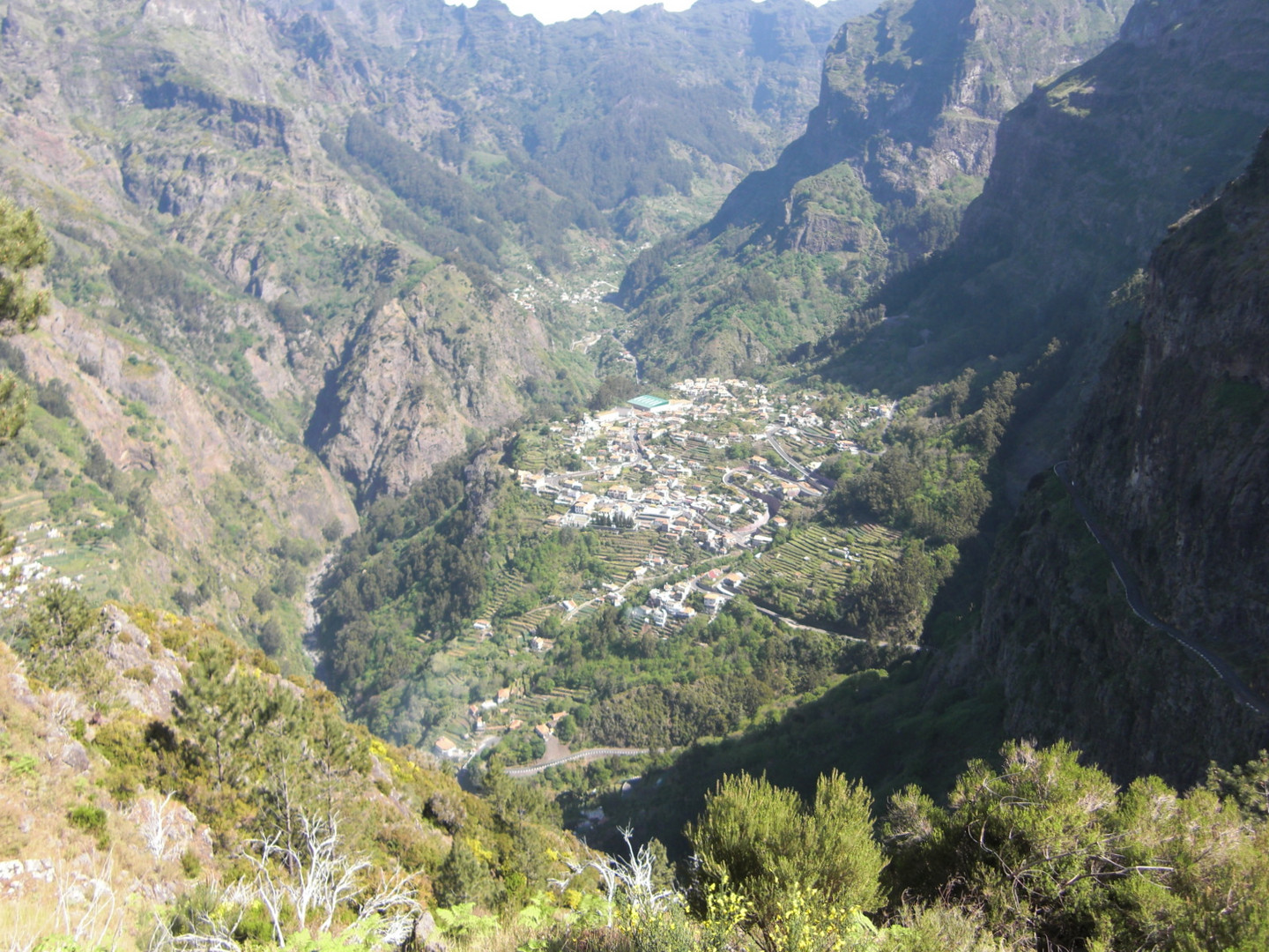 madeira...nonnental