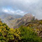 Madeira´s Bergwelt 