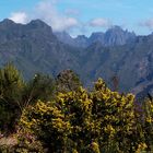 Madeira`s mountains