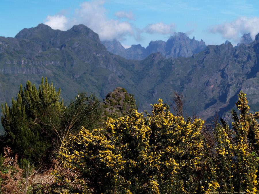 Madeira`s mountains