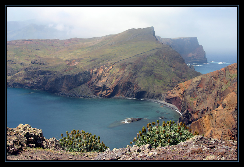 ~ Madeira's Osten ~