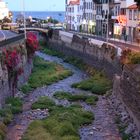 Madeira´s Straßen