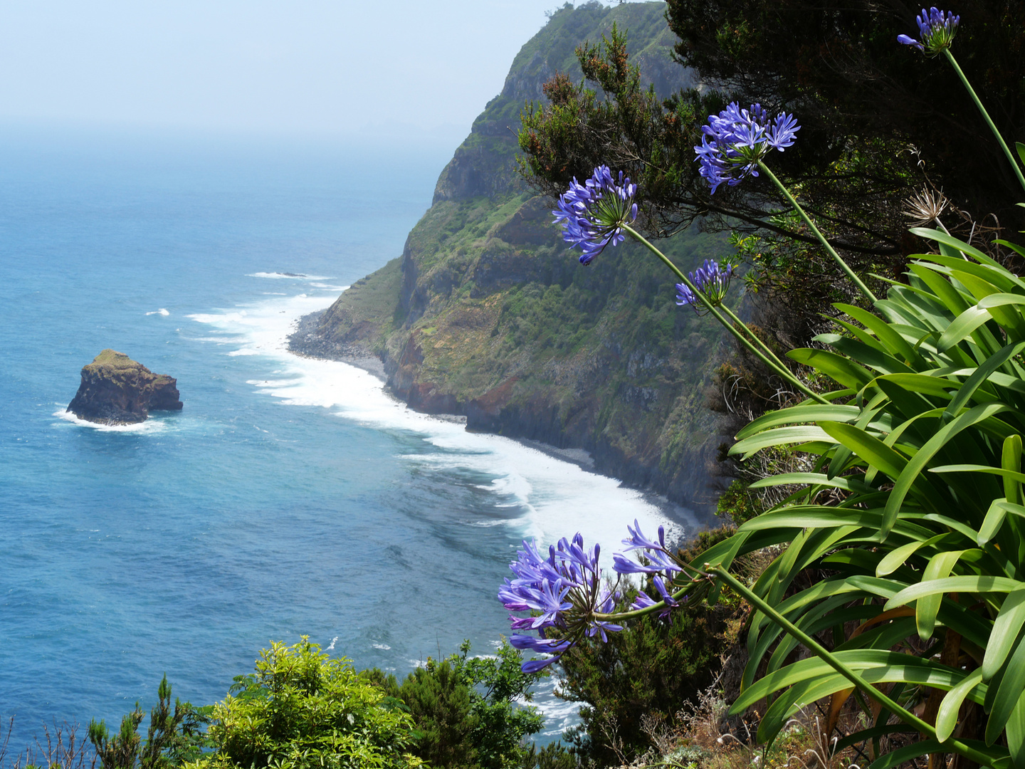 Madeira's wilde Küste