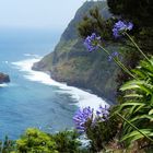 Madeira's wilde Küste