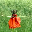 Mademoiselle coquelicot va au bal ce soir