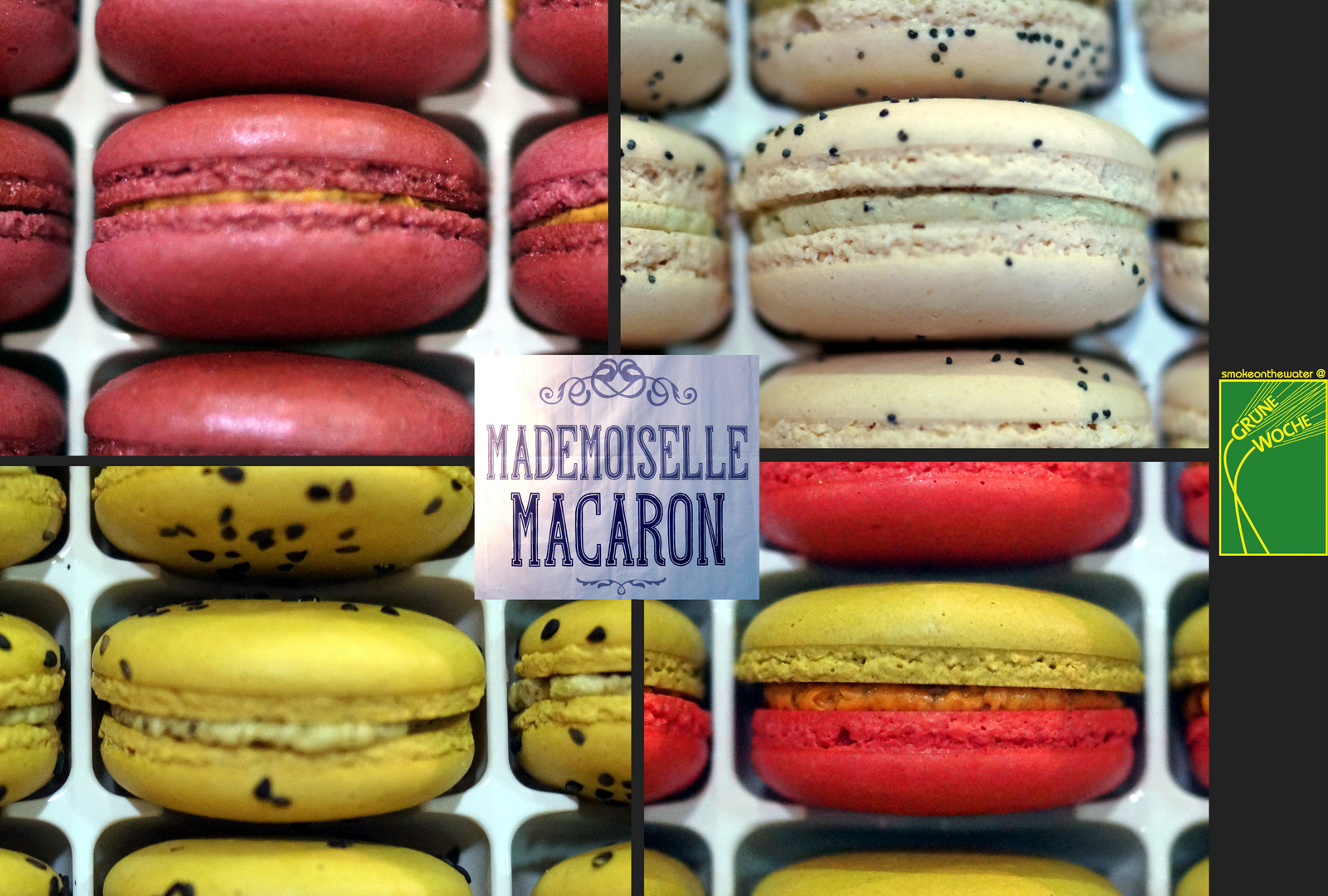 Mademoiselle Macaron