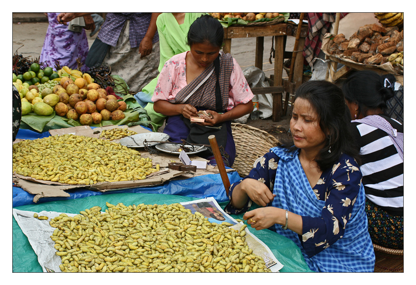 Maden gefällig? - Markt in Shillong, Meghalaya | Indien