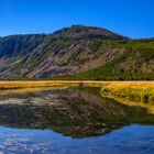 Madison River, Yellowstone NP, Wyoming, USA